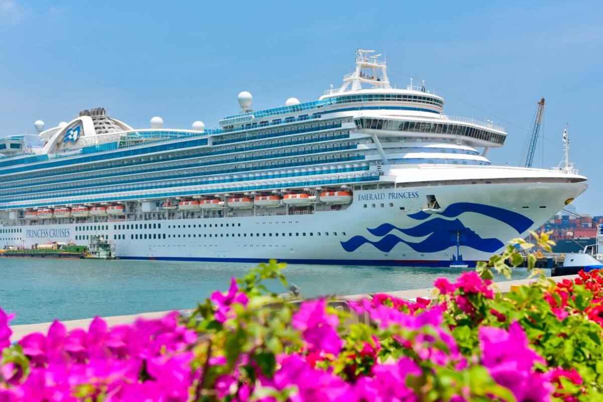 Reactivación de cruceros: objetivo del nuevo director general marítimo