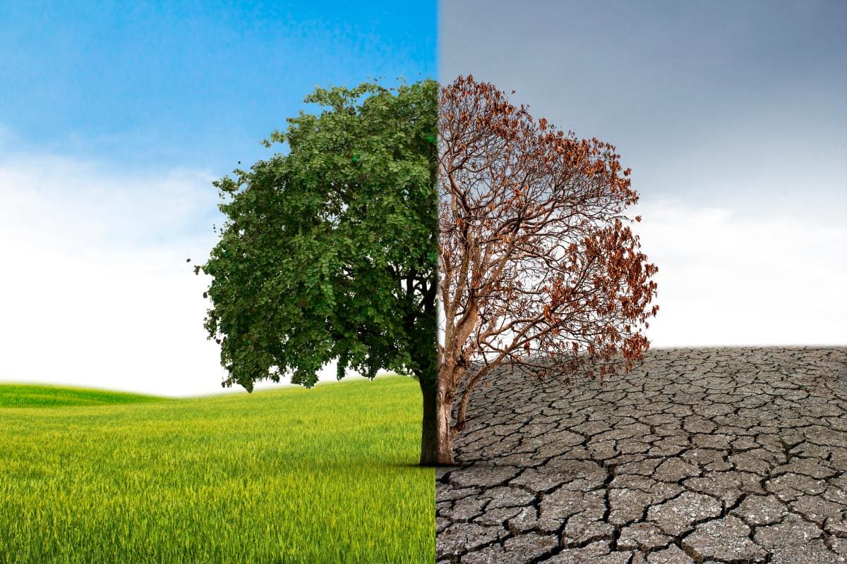 Ecoansiedad: la angustia por el futuro climático acecha a jóvenes y mujeres