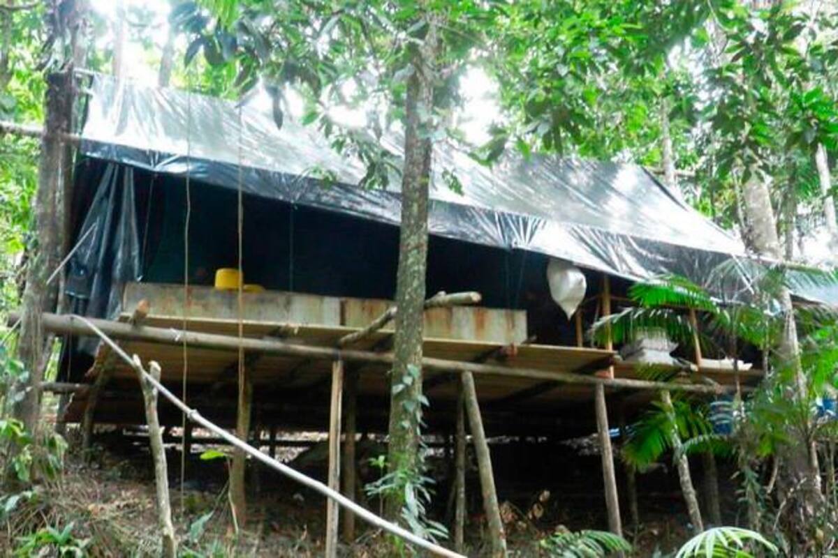 Destruyen laboratorios de la estructura Oliver Sinisterra en Nariño