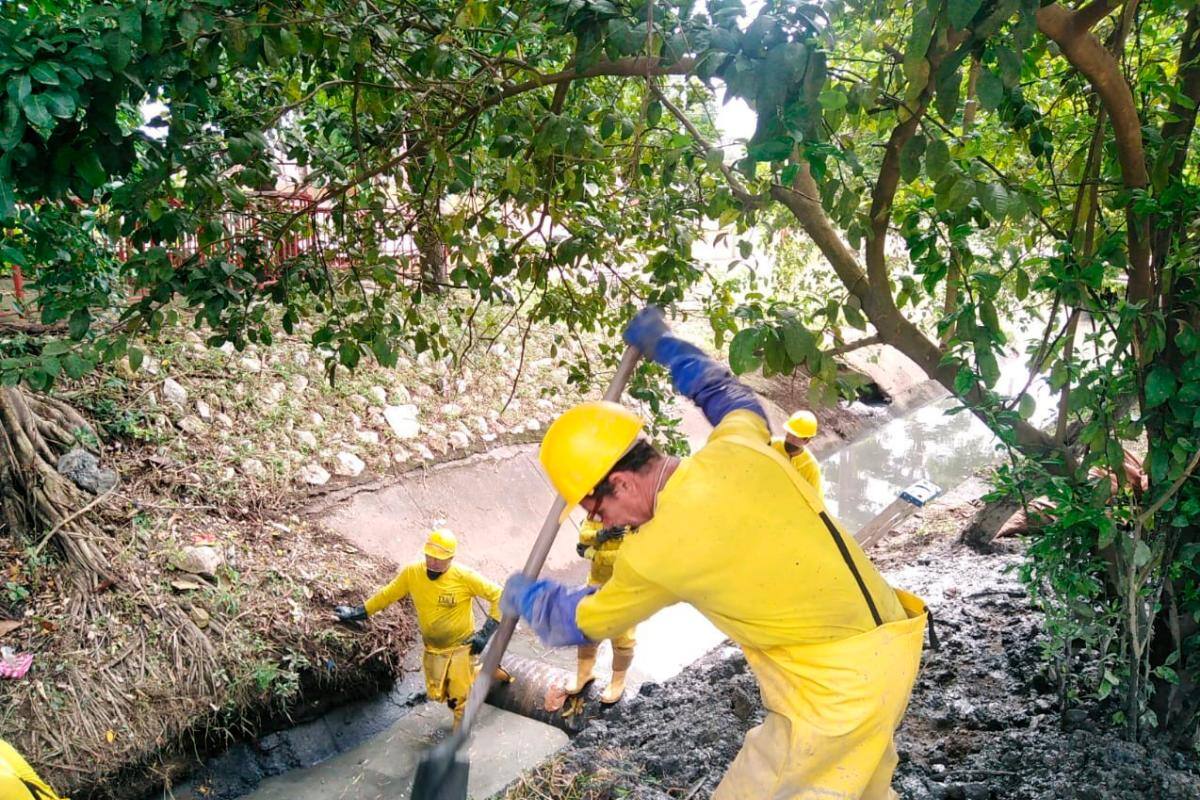 Animales muertos y hasta neveras encuentran en canales de Montería