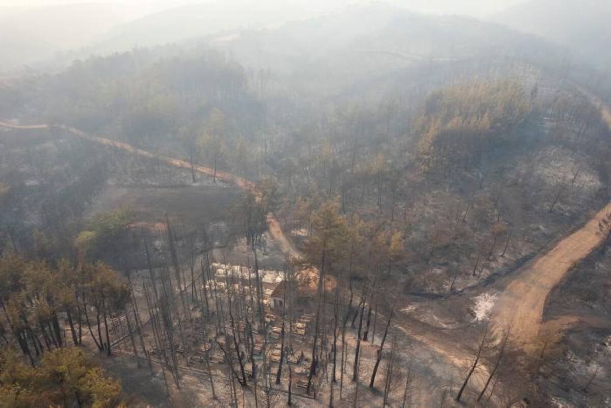 Los incendios han calcinado más de 73.000 hectáreas. // EFE
