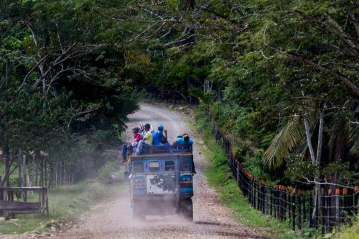 Grupos ilegales obligan desplazamiento de más de 10 familias en Valdivia