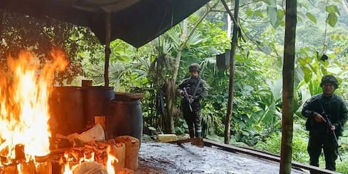 Caen cinco laboratorios de coca en operación antidrogas