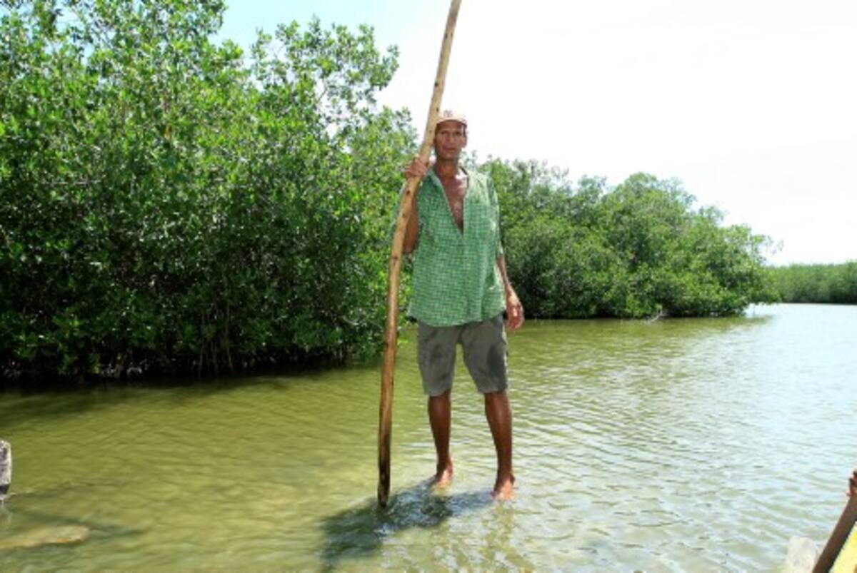 En algunos sectores, la Ciénaga de la Virgen está tan sedimentada que una persona puede ponerse de pie en medio de las aguas. En algunos sectores, la Ciénaga de la Virgen está tan sedimentada que una persona puede ponerse de pie en medio de las aguas.