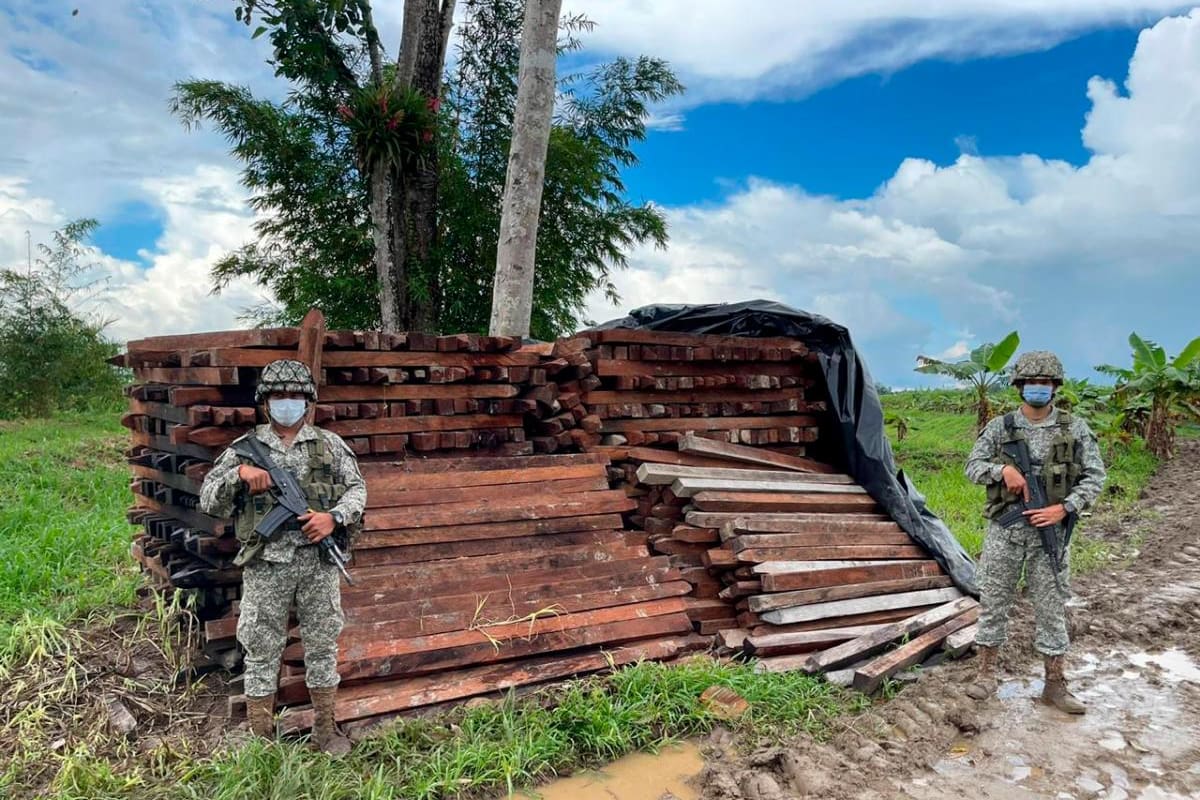 Armada incautó mas de 59 metros cúbicos de madera ilegal