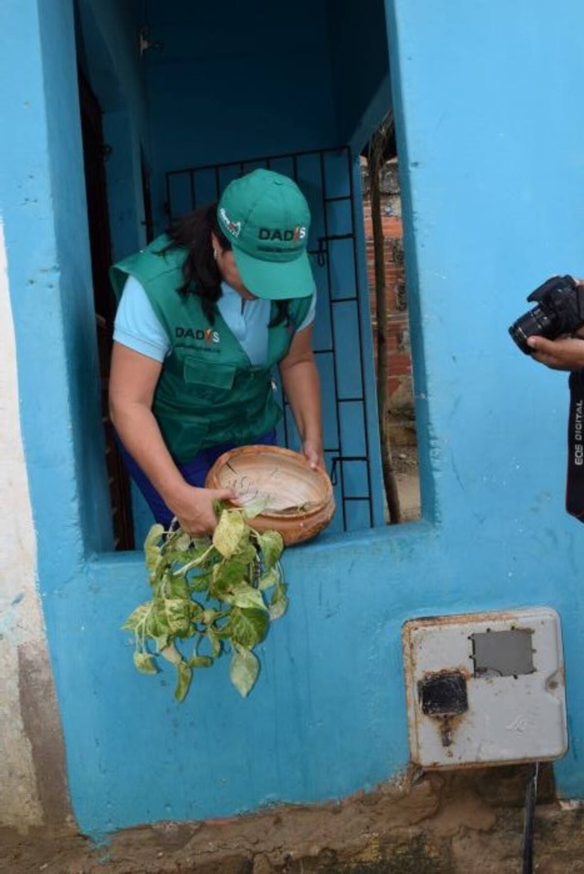 Las macetas y albercas pueden almacenar mosquitos. Elimine aguas estancadas.