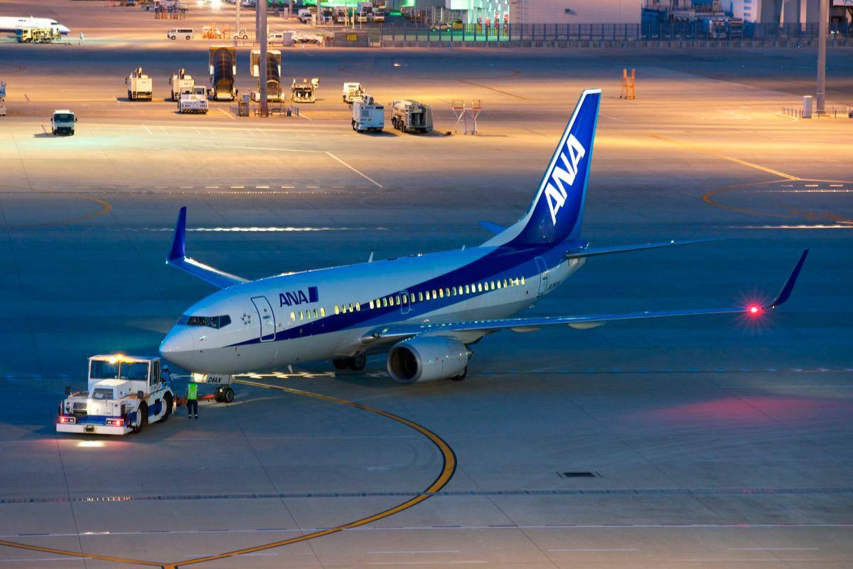 Vuelo tuvo que retornar por culpa de un pasajero que mordió a auxiliar de vuelo