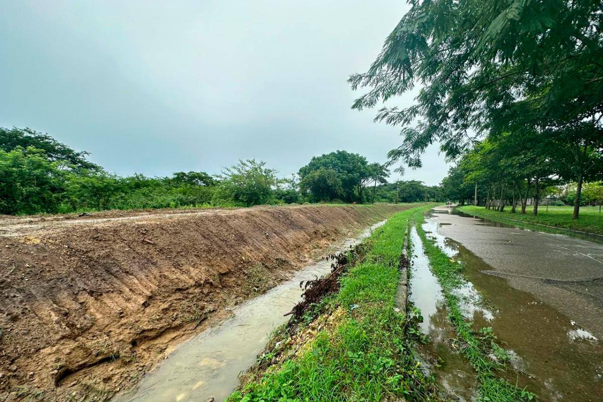 “Contrato de limpieza de caños está activo”: Alcaldía de Cartagena