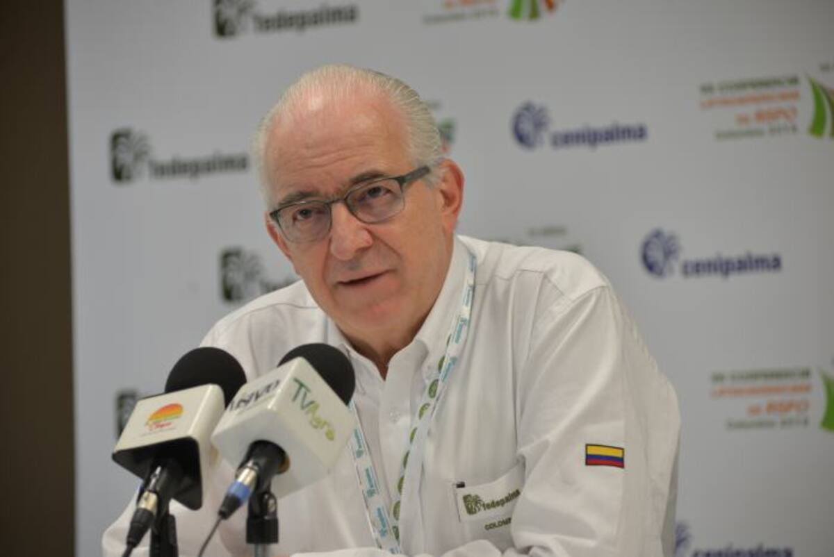 Jens Mesa Dishington, presidente ejecutivo de Fedepalma