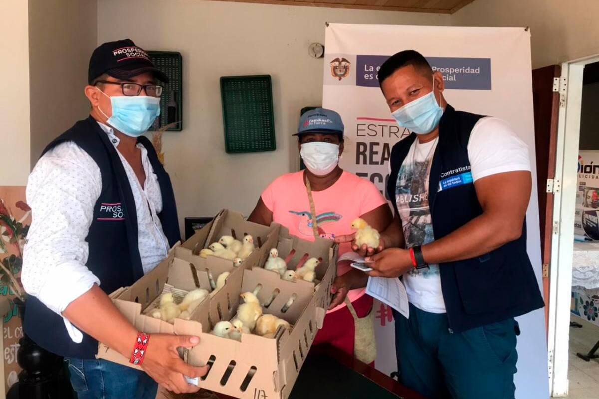 Entregan incentivos para proyectos productivos de víctimas en Bolívar