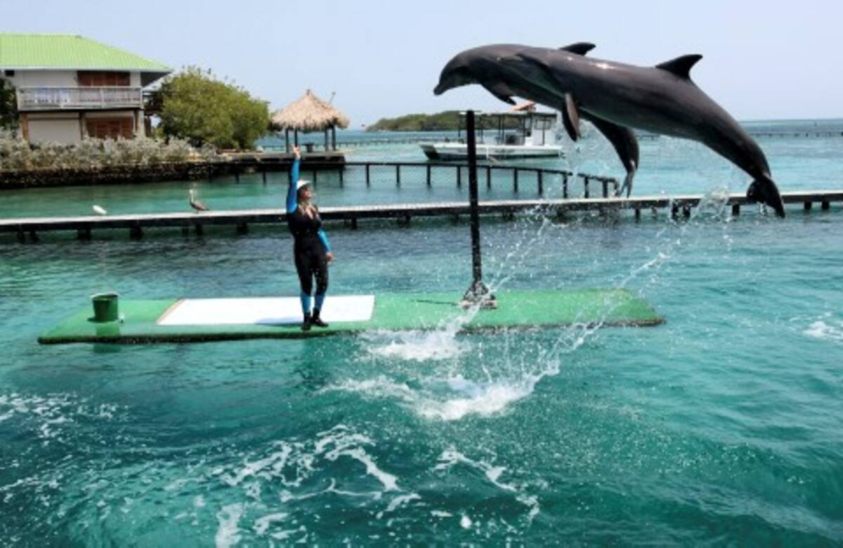 La Dirección de este parque natural reportó la visita de 318.473 personas durante el 2009. El Parque Tayrona fue el segundo más visitado.