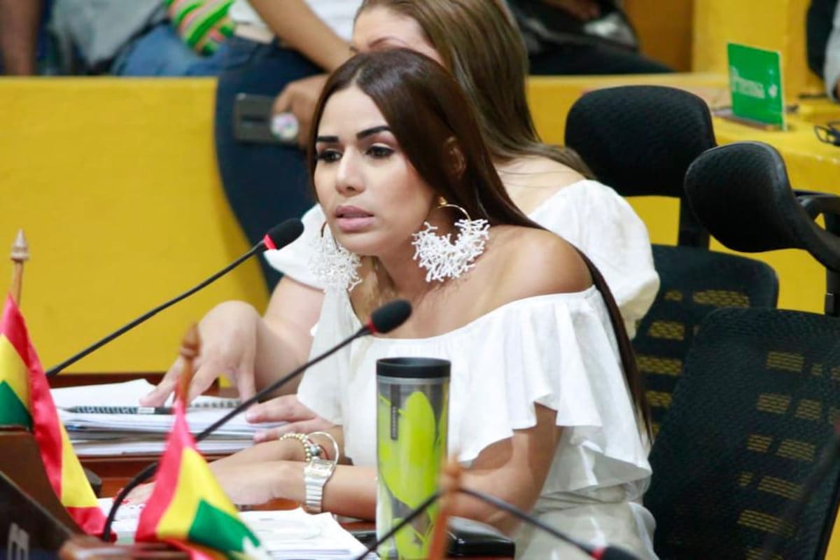 Esta es la razón por la que Angélica Hodeg regresó al Concejo
