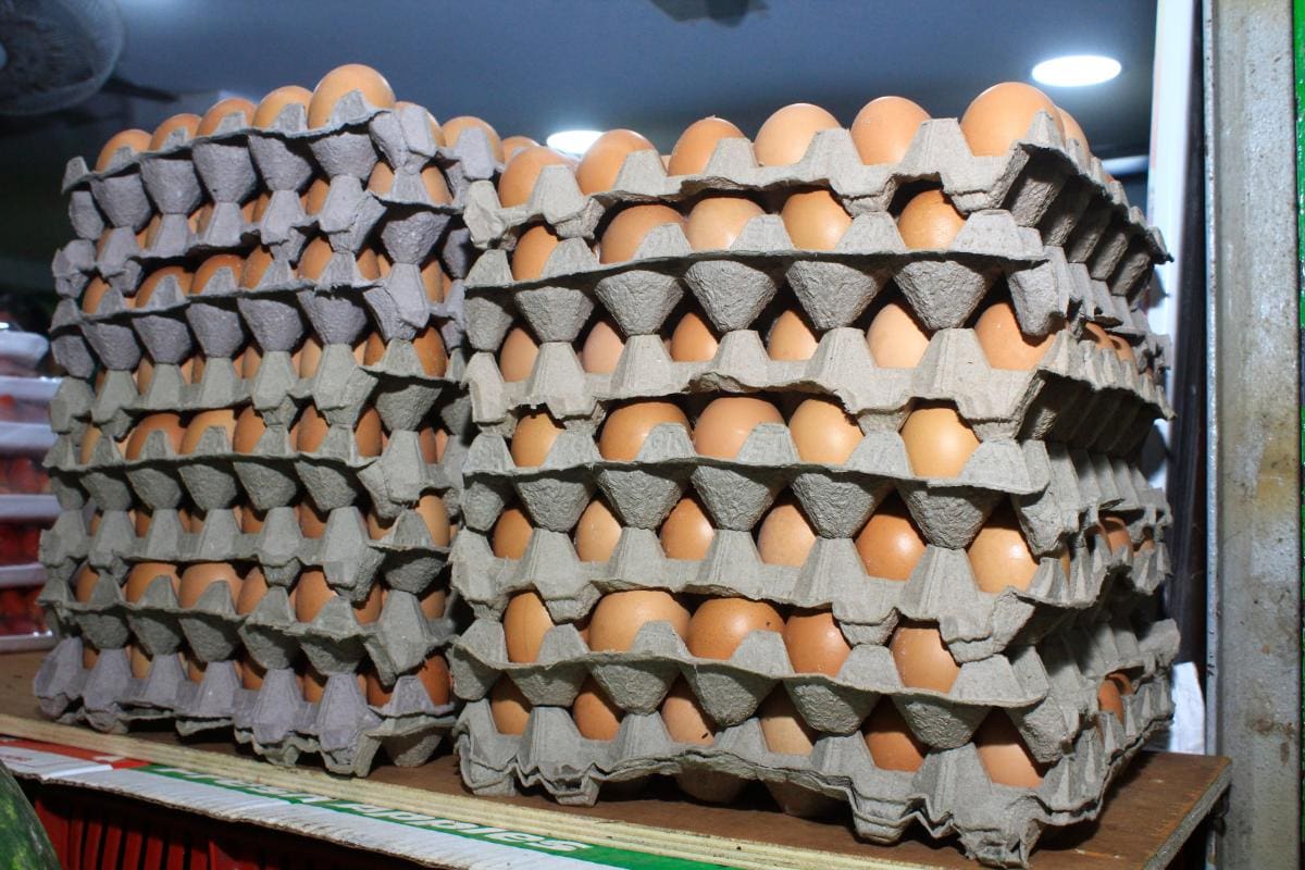 Colombia, con menor producción de huevos