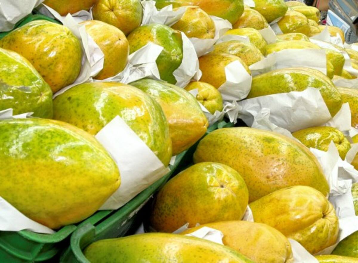Frutos podrían estar contaminados EL UNIVERSAL