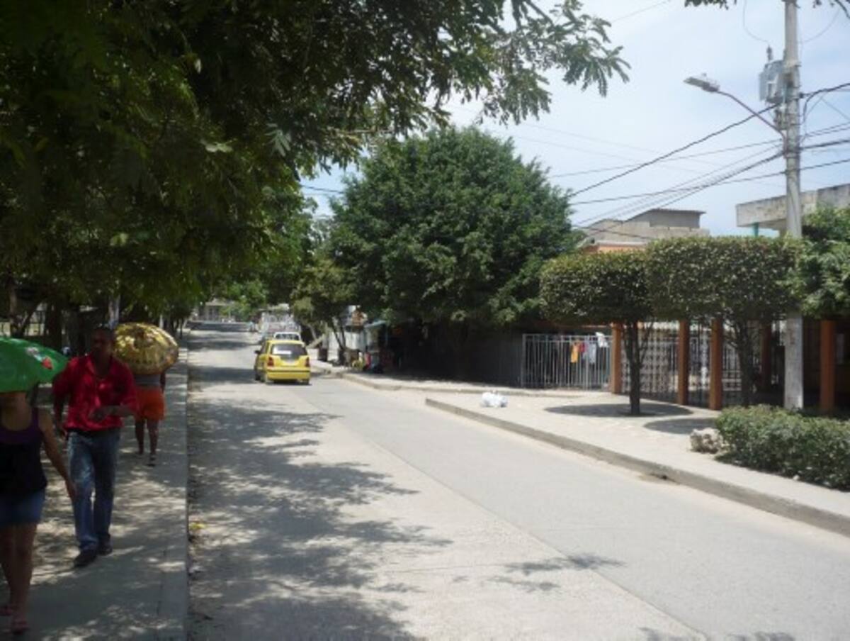 La dirigencia comunal dice que las calles permanecen llenas de plumas de aves. FOTO RUBEN DARIO ALVAREZ-ELUNIVERSAL