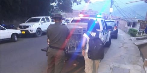 Rescatan a mascota que habría sido abusada