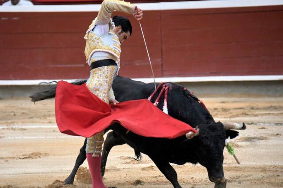Avanza ley contra el maltrato animal: se prohibirán las corridas de toros