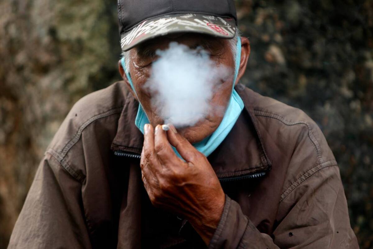 Día Mundial Sin Tabaco: más de 7 millones de fumadores muertos al año