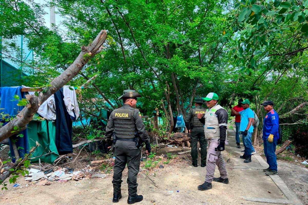 Recuperan zona de manglar y orillas del caño Bazurto