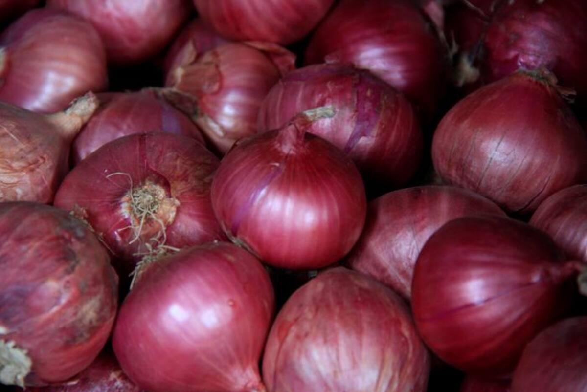 Cebolla. ARCHIVO