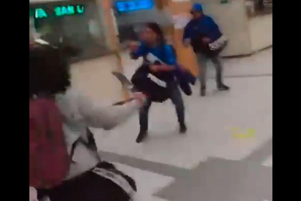 Video: barras bravas del fútbol colombiano se enfrentan a cuchillo