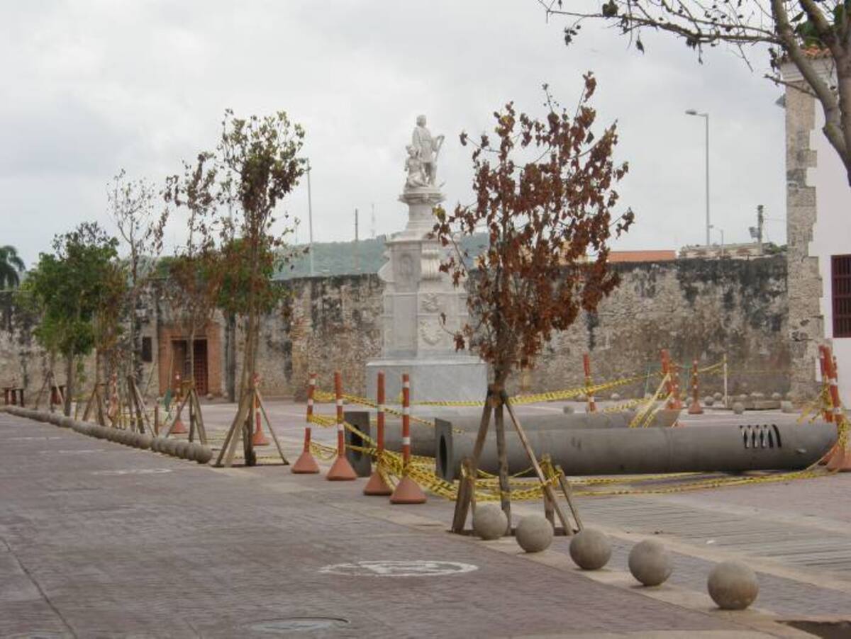 ¿Habrá que reemplazar algunos de los árboles sembrados en la Plaza de la Aduana? EL UNIVERSAL