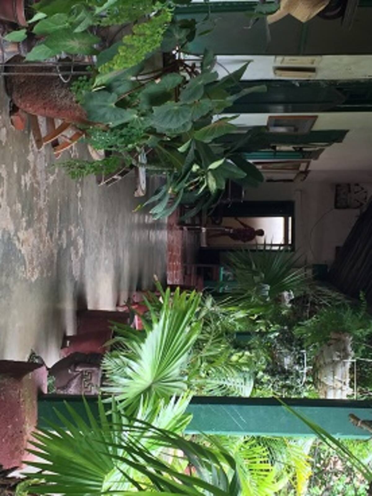 Casa Museo Luis Trespalacios