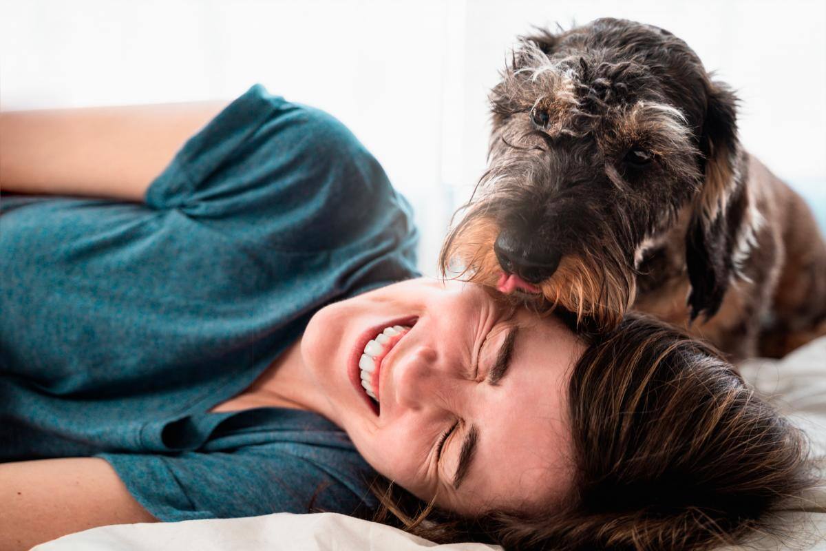 ¿Sabías que las mascotas influyen en la salud mental de las personas?