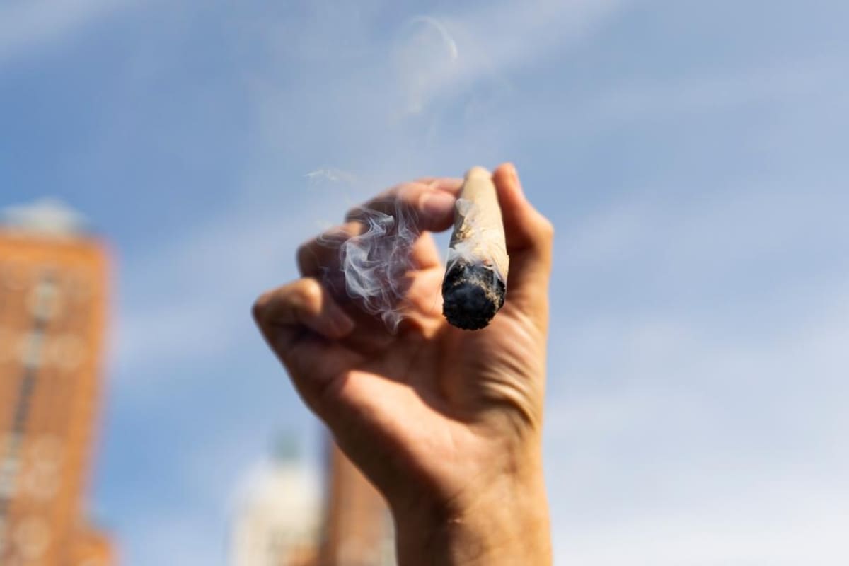 Legalizar la marihuana aumenta el consumo en jóvenes, según estudio