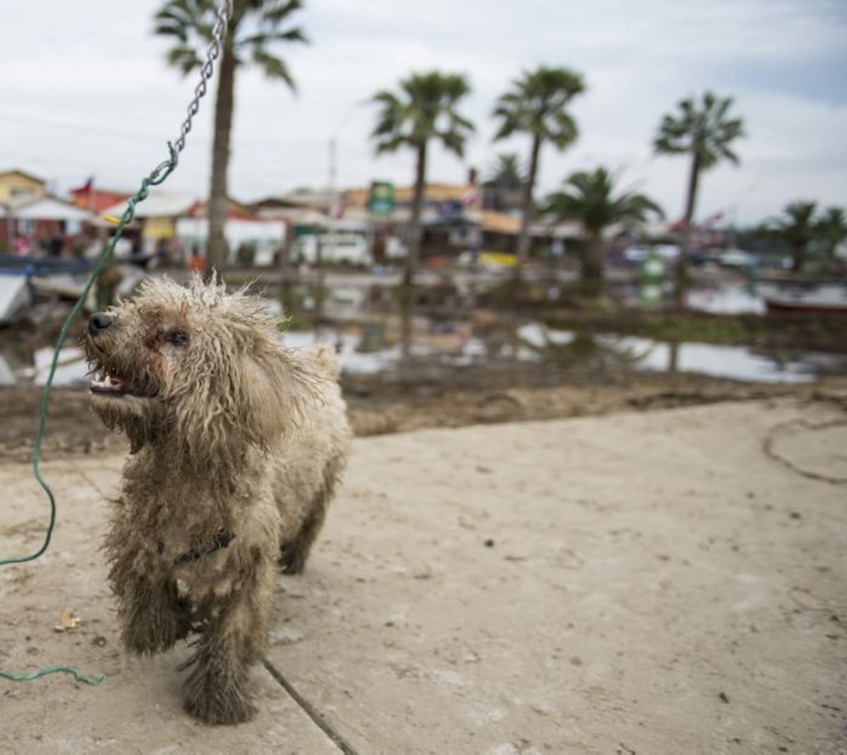AFP MARTIN BERNETTI