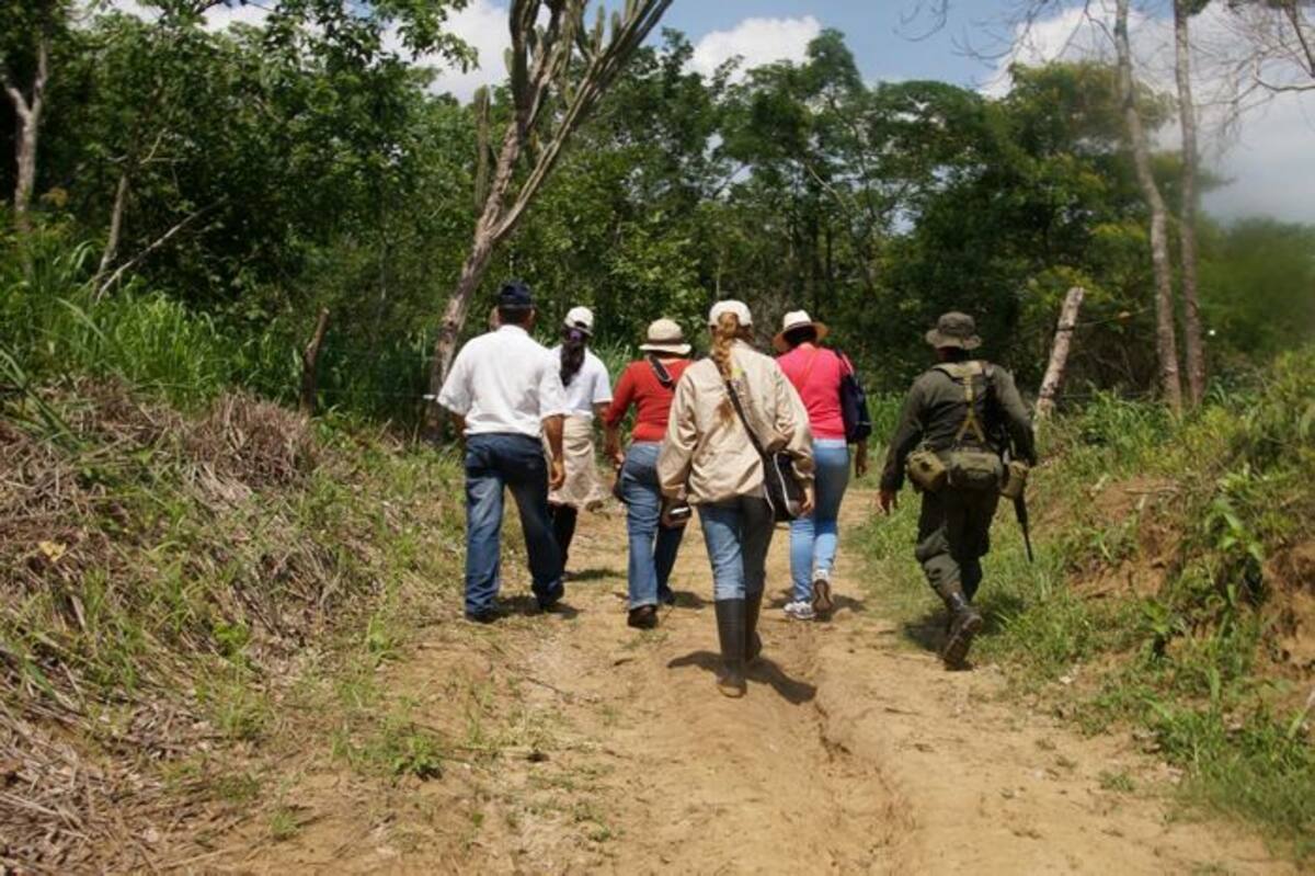 Una vez analizadas las pruebas presentadas por la Unidad de Restitución de Tierras el Tribunal Superior del Distrito Judicial de Cali profirió la sentencia que restablece los derechos de dos familias sobre sus predios y declara no acreditada la buena fe exenta de culpa del opositor en el proceso. Los predios hoy restituidos fueron comprados por la Agropecuaria Tacaloa S.A.S entre 2009 y 2010, como parte de una compra masiva de tierras en la zona a través de un intermediario.