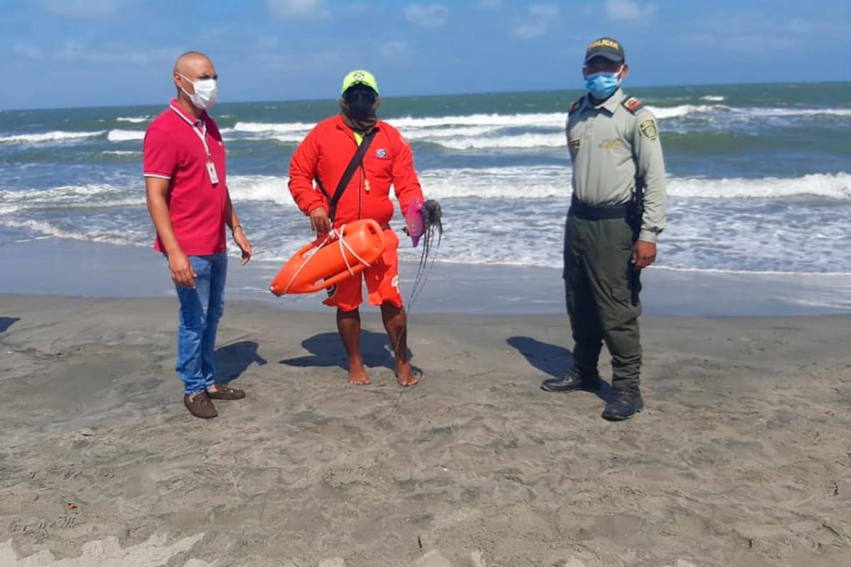 Alertan a bañistas por aparición de ‘agua mala’ en playas de Cartagena