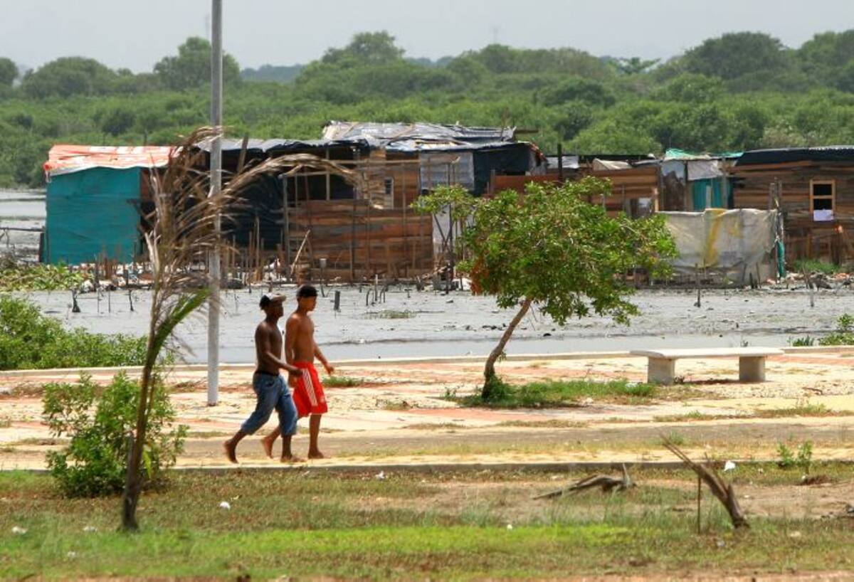 Las cifras sobre pobreza en Colombia fueron proporcionadas por el DANE. ARCHIVO