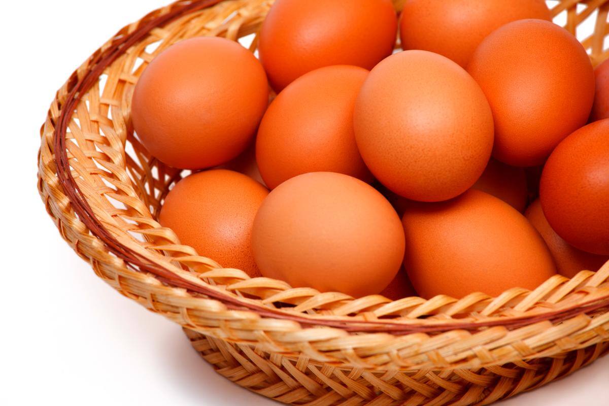 8 tips para conservar y manejar el huevo