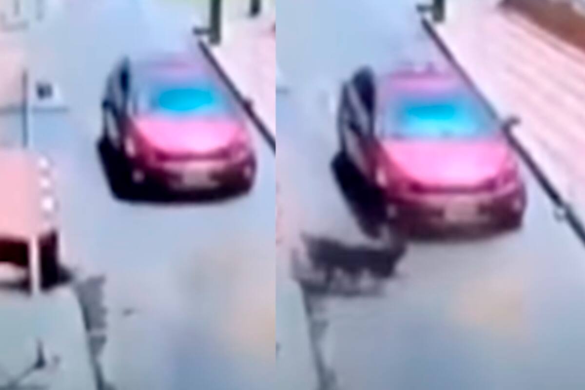 Terrible: niña murió atropellada tras tropezar con un perro