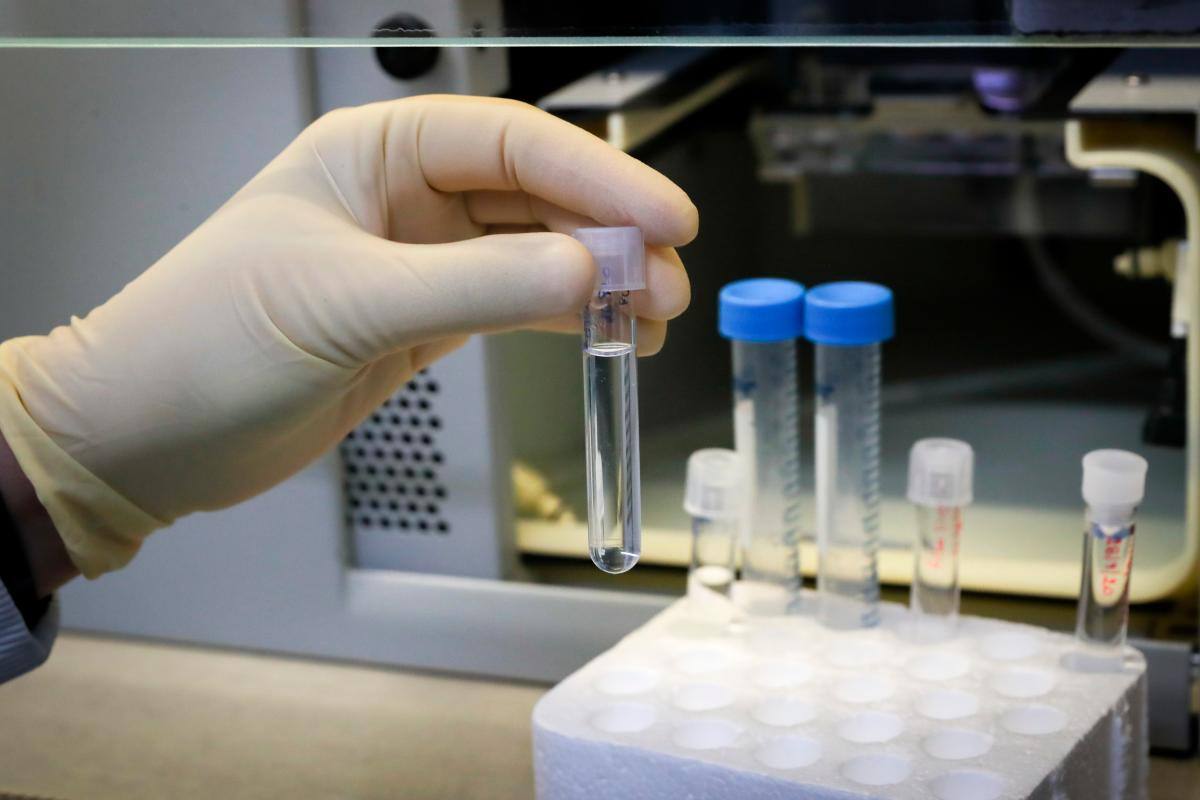 Probado en ratones: gel detiene el glioblastoma, un tumor cerebral letal