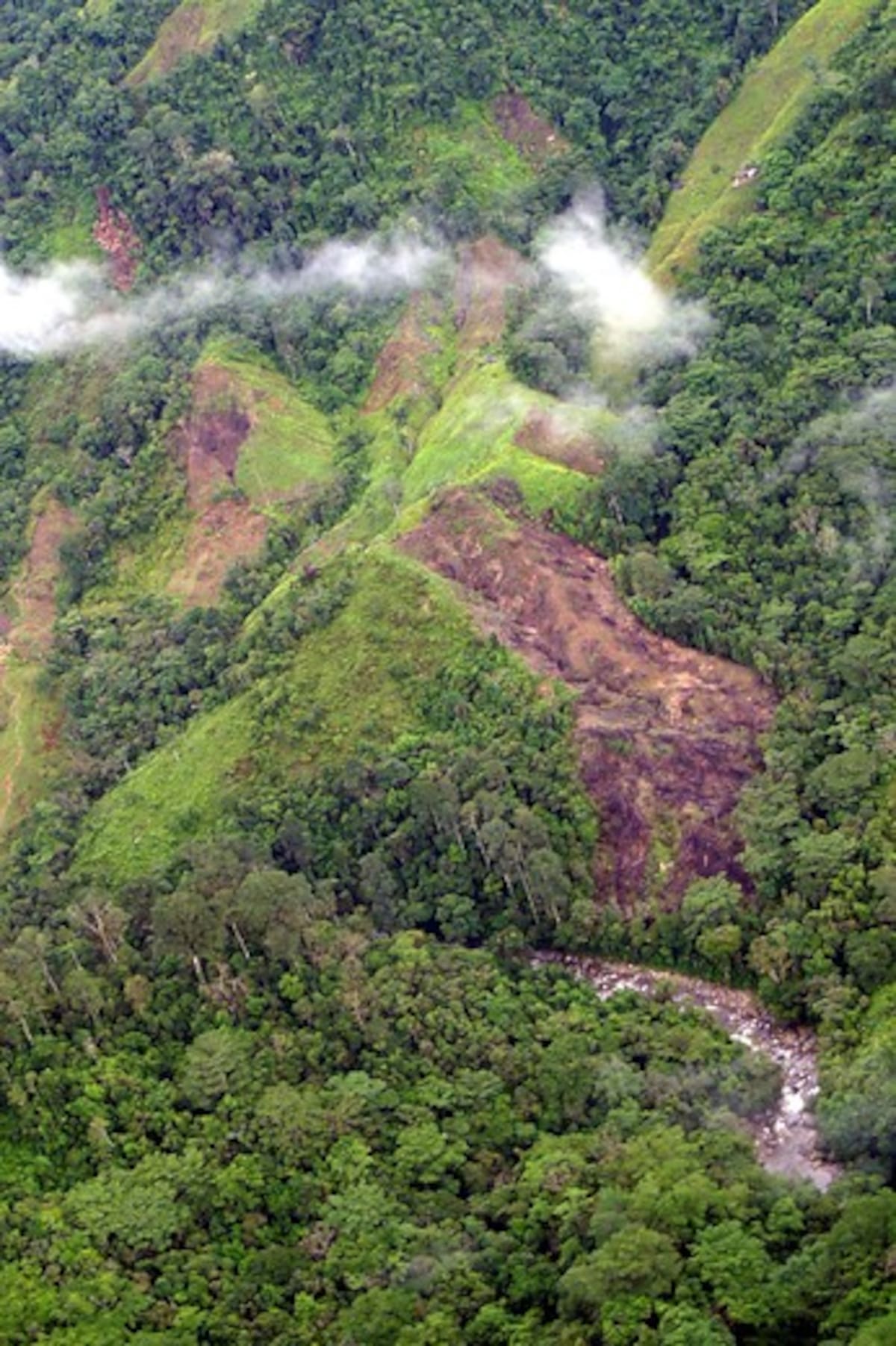 En el caso del departamento del Caquetá, cuya deforestación se encuentra en estado crítico, se ha pedido a las autoridades para que intervengan en este problema que es consecuencia de los cultivos ilícitos, la ganadería, la minería ilegal y la extracción de madera. COLPRENSA