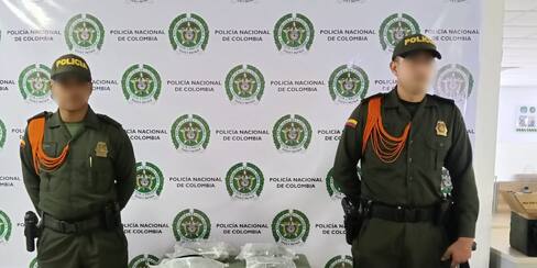 ‘Killer’, el canino que detectó droga camuflada en una empresa de mensajería en Cartagena