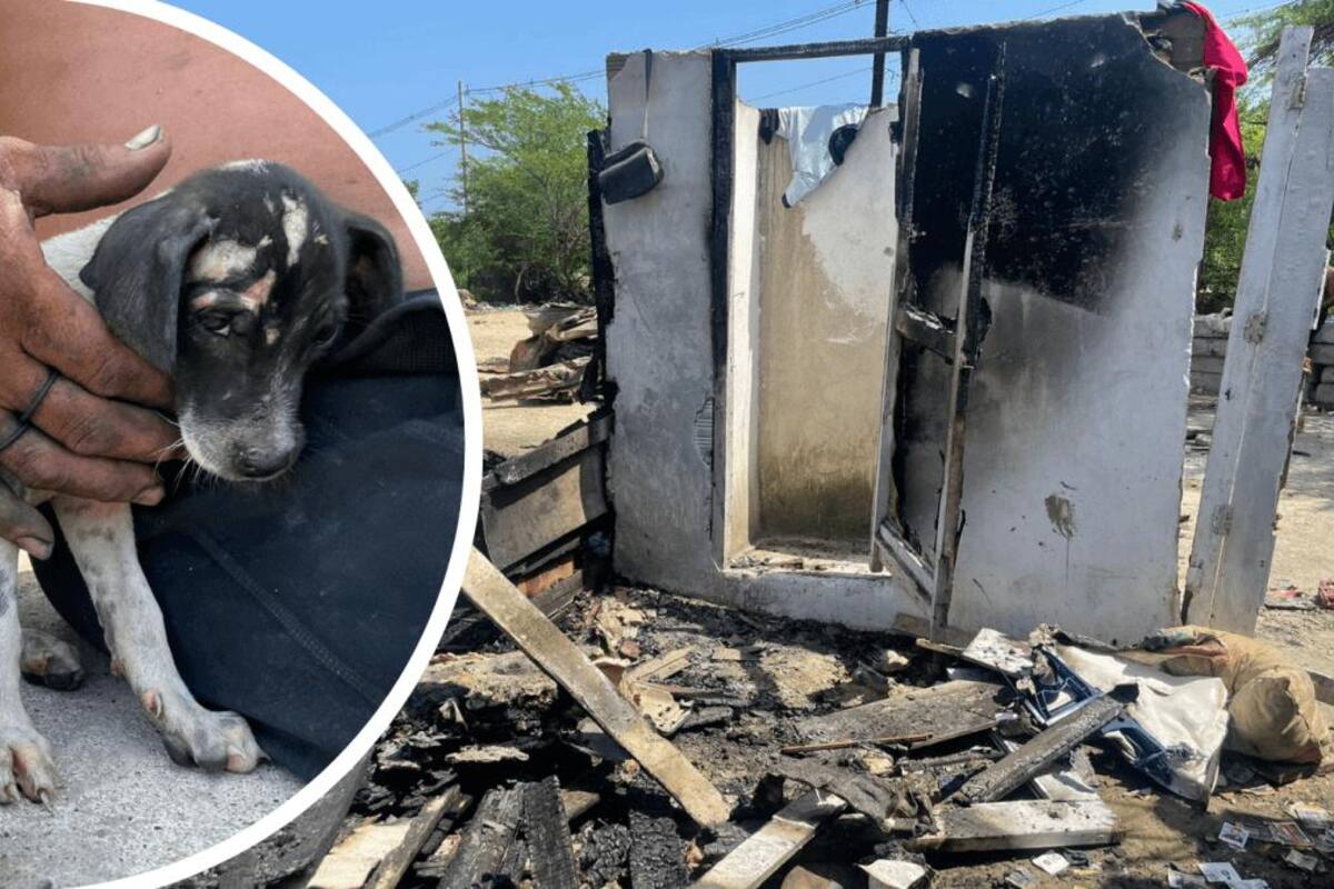 Video: Incendio en Chambacú deja a 5 familias sin casa y 8 perritos quemados