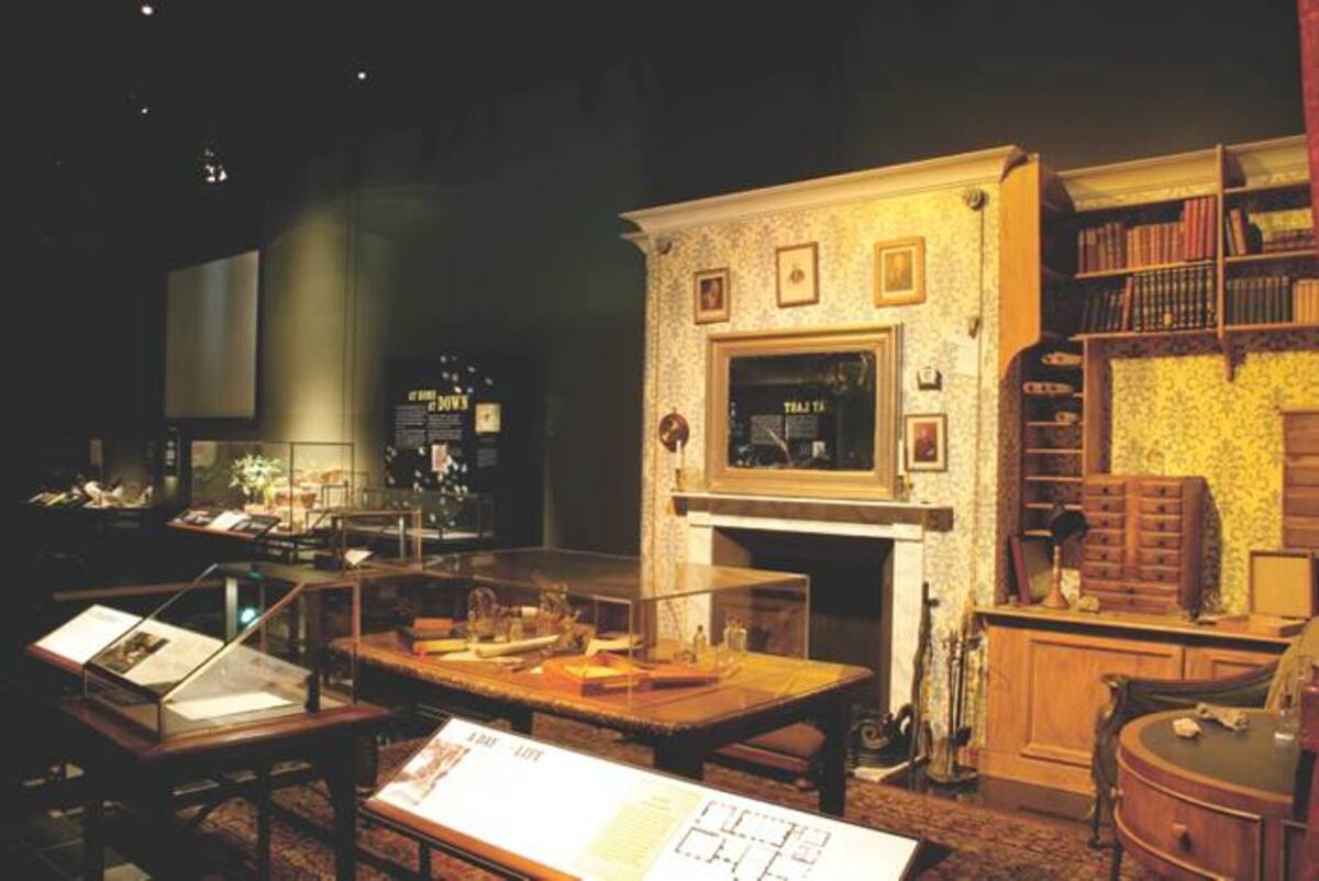 “Si el público no va al museo, el museo debe ir al público”. Con esta estrategia, el Museo Americano de Historia Natural le ha dado la vuelta al mundo, y en la actualidad tiene 16 exposiciones recorriendo los cinco continentes, en un éxito sin precedentes.