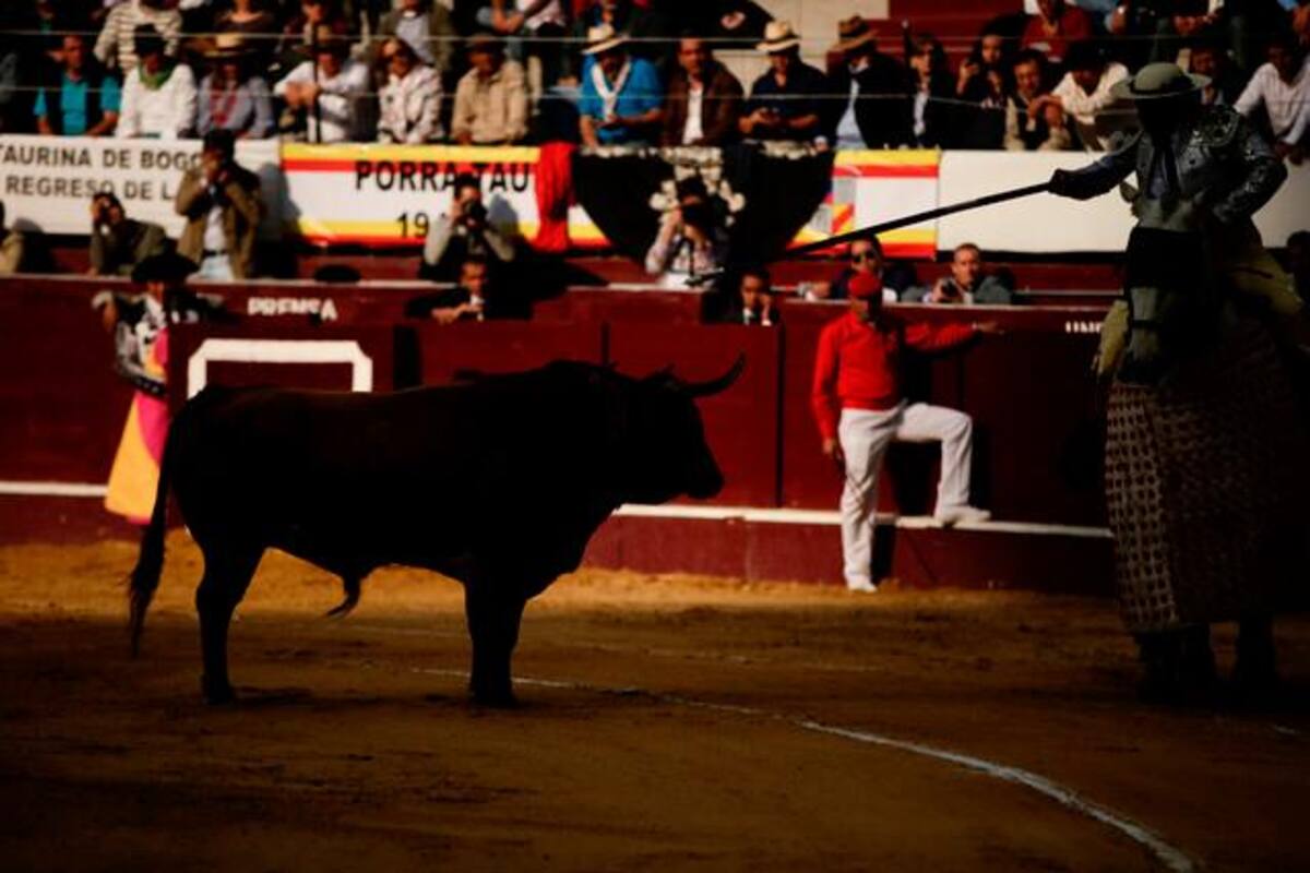 Corte Constitucional ordena el regreso de los toros a Bogotá