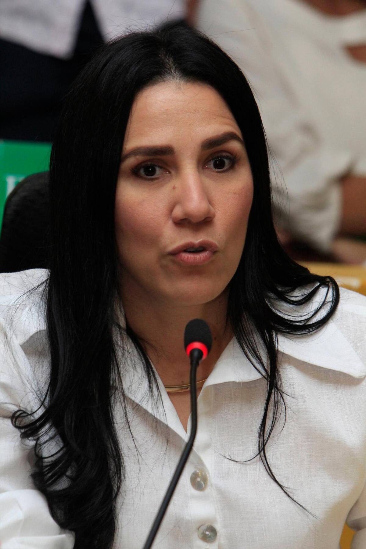 Liliana Suárez, concejala del partido ASI.