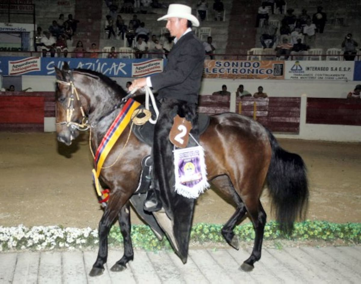 Gran Campeona paso Fino “Azúcar Morena”, montada por Alexander Barreto. MANUEL SANTIAGO PÉREZ/EL UNIVERSAL/