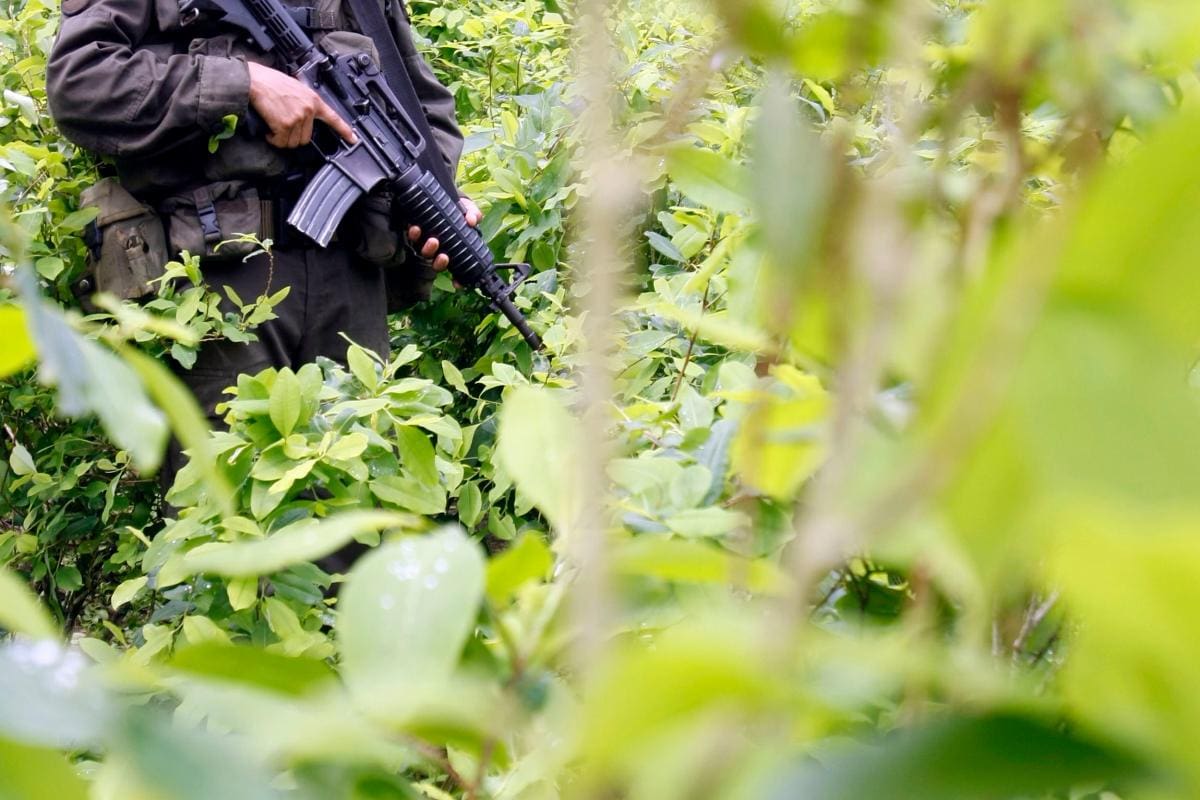 Cese al fuego con 4 grupos armados se incumplió 60 veces en 6 meses