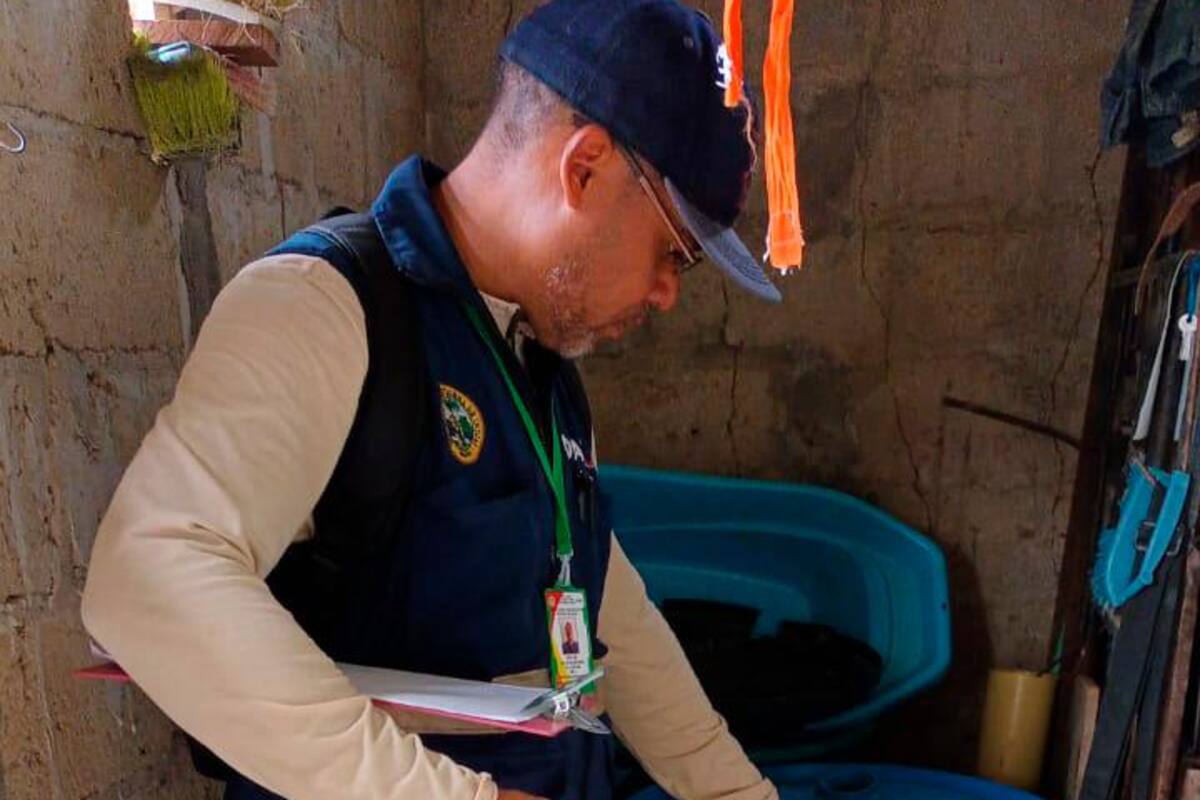 Empezó la Semana del Mosquito en Cartagena, ¿en qué consiste?