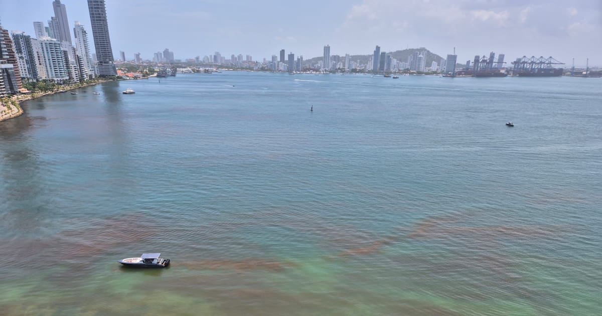 Strange stain in Castillogrande: hydrocarbons ruled out and cause identified