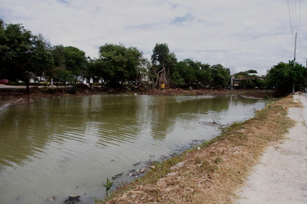 Crean alianza para revitalizar el caño Juan Angola