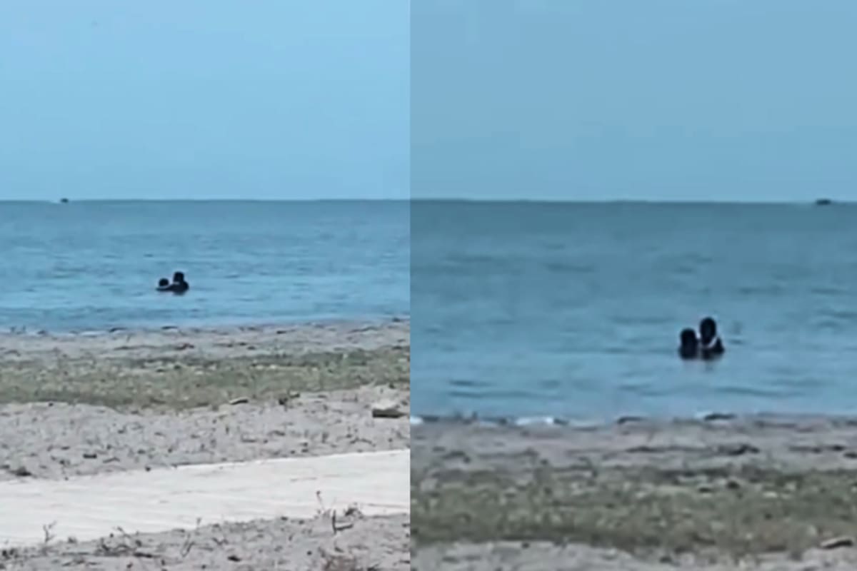 ¿Estaban teniendo sexo? Se viraliza video de una pareja en playa de Cartagena