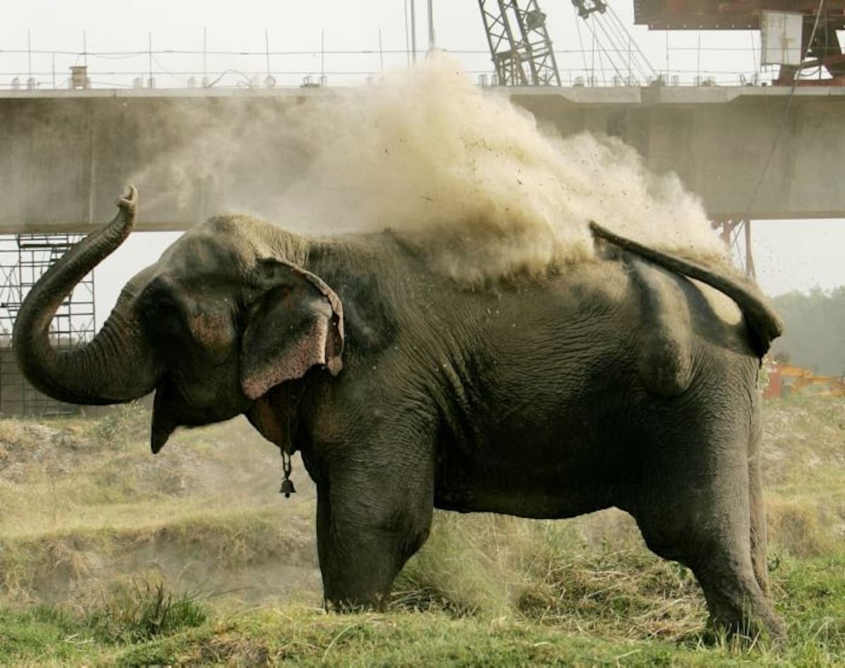 Foto: Archivo/Ilustración