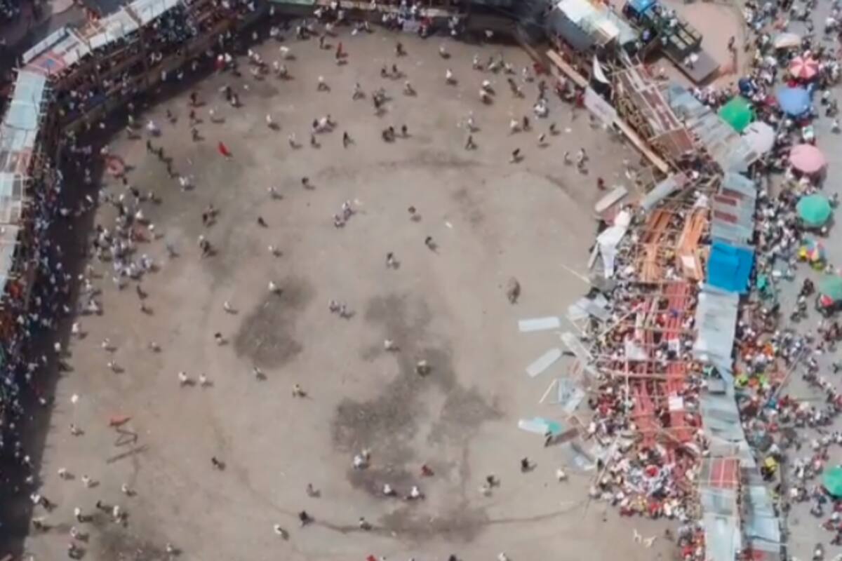 Muertos, heridos y niños perdidos por desplome en corraleja
